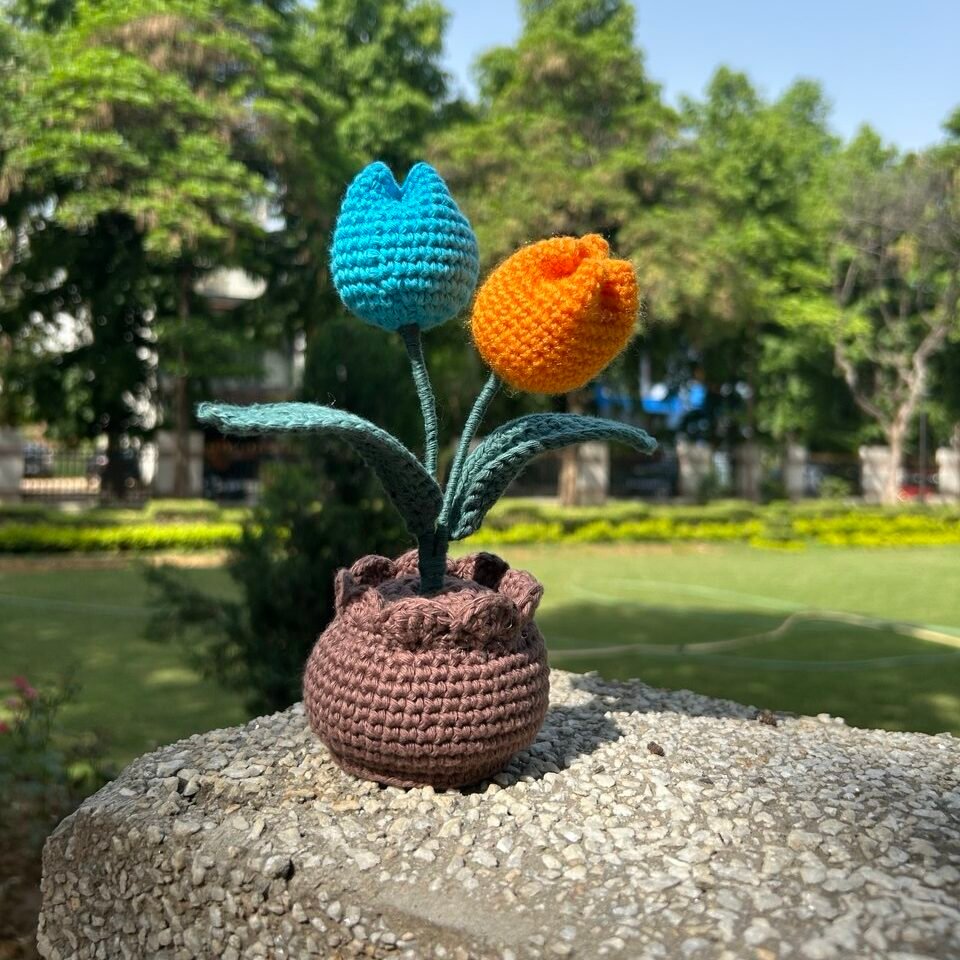 double tulip flower pot