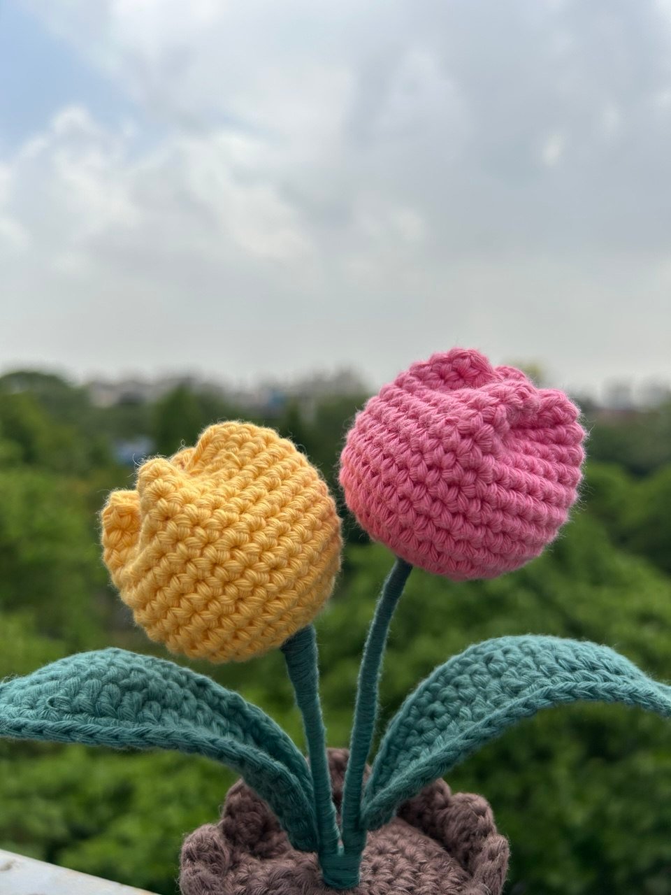 double tulip pot crochet
