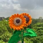 sunflower crochet flower