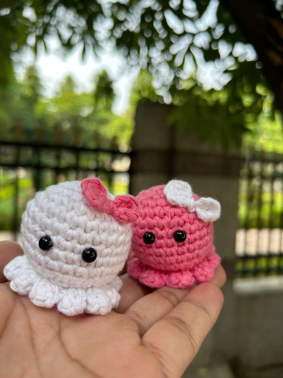 photo_2025-05-29_09-59-21 octo coons crochet