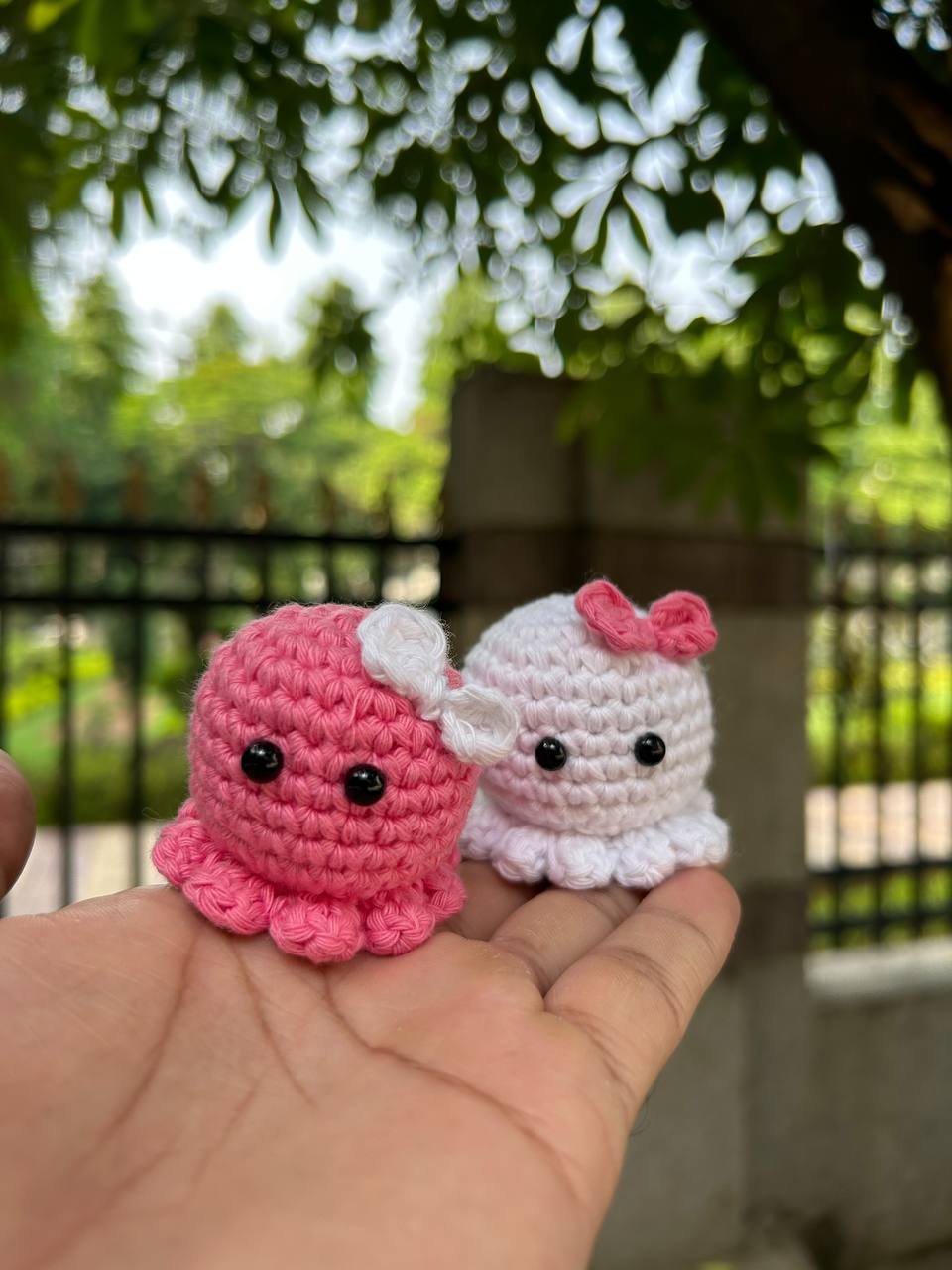 photo_2025-05-29_09-59-23