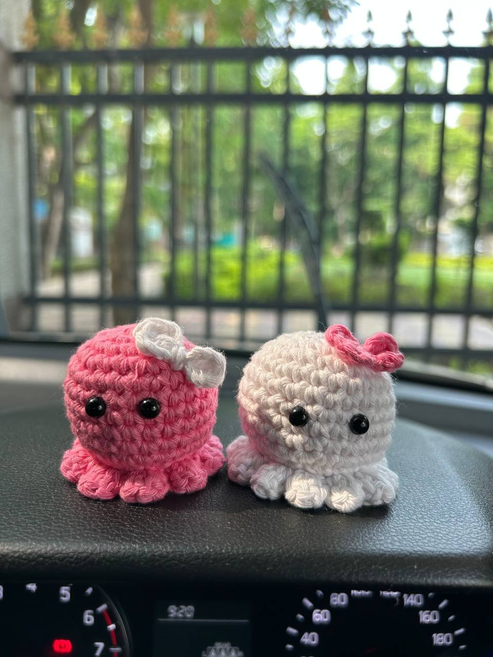 photo_2025-05-29_09-59-25